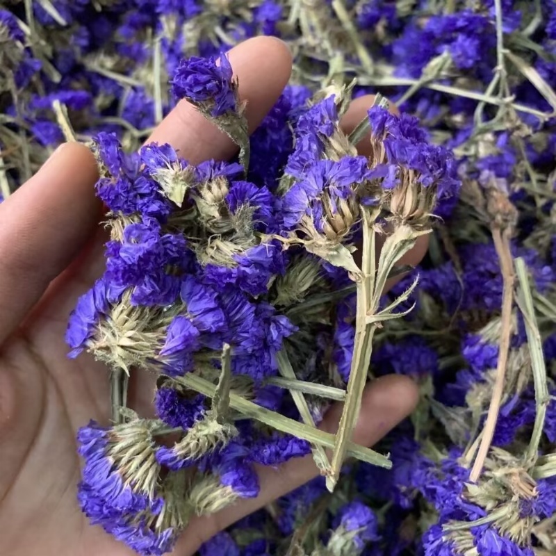 Top Natural Forget-me-not Drie - Soap Making Home avis et prix
