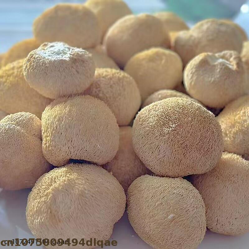 Premium Dried Lion's Mane Mush - Soap Making Home avis et prix